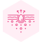 Icon 3
